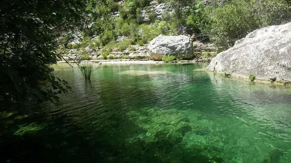 B&B Nido Colorato Fontane Bianche Eksteriør billede
